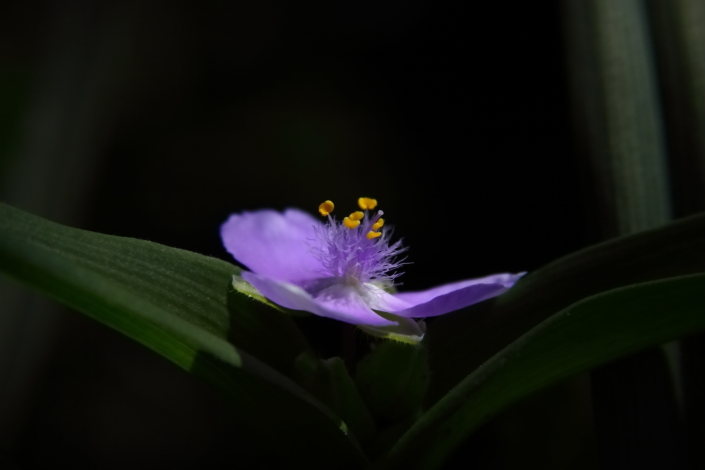 2012 05 20 3629